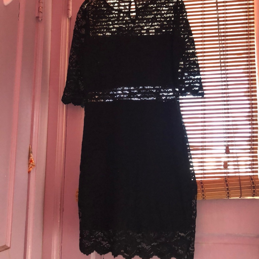Fashion nova living a lovely life lace mini dress